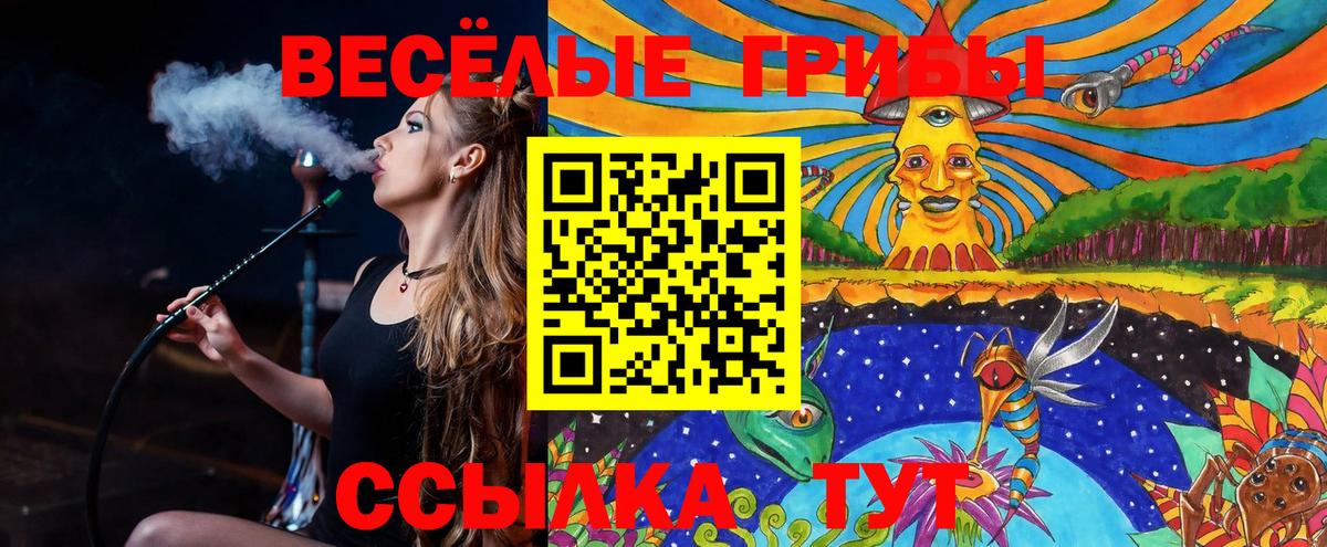 Галлюциногенные грибы Psilocybine cubensis  Вход с VPN  Галлюциногенные грибы Psilocybe  Кисловодск 